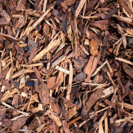 Bark Chip: Your Garden’s Best Friend for Health, Beauty & Ease