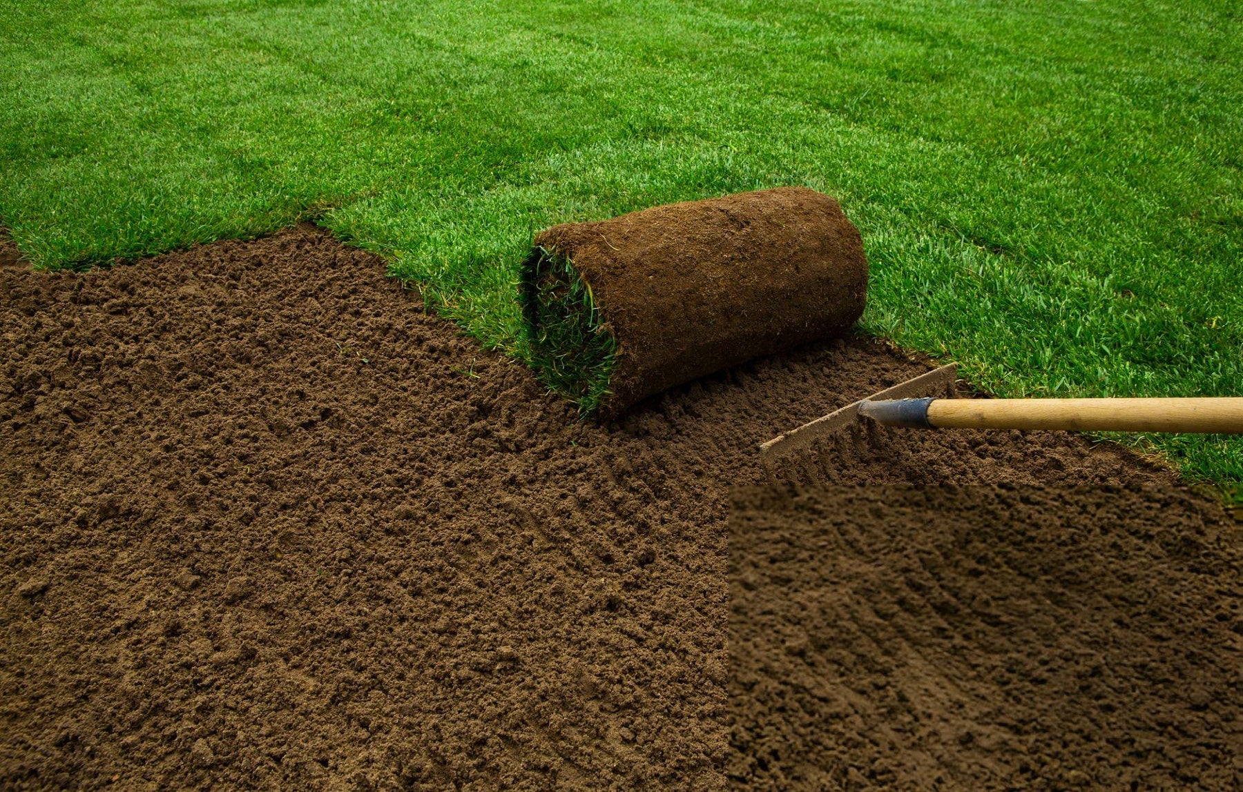 Commercial Turf Suppliers Sydney: How to Choose the Right Grass for Your Business
