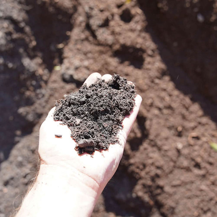 COMPOSTED PINE BARK 10MM CUBE