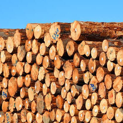 Firewood Guide: Which Is the Best Firewood to Burn in Sydney?