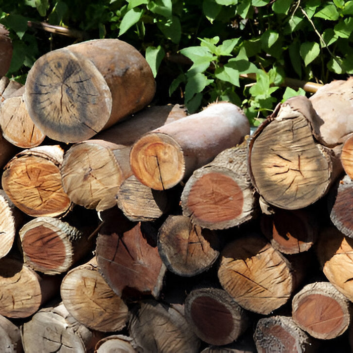 Firewoods