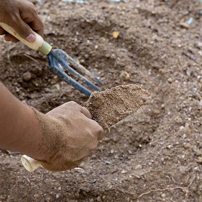 Garden Mixes Demystified: Matching the Blend to the Project