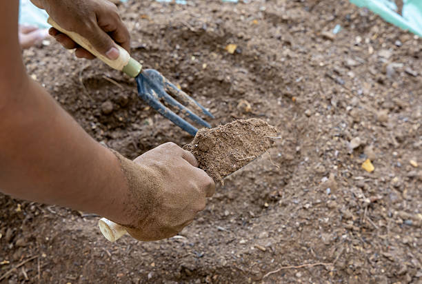 Garden Mixes Demystified: Matching the Blend to the Project