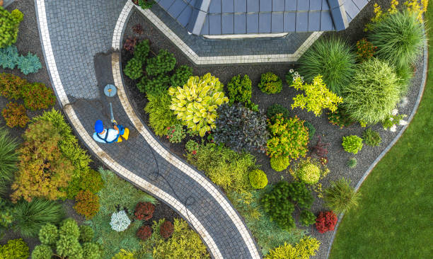 Landscaping That Matters: How Ace Landscapes Can Change Your Outdoor Space