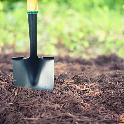 Mulch Matters: Choosing the Right Type for Your Garden’s Needs