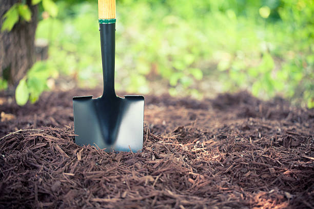 Mulch Matters: Choosing the Right Type for Your Garden’s Needs