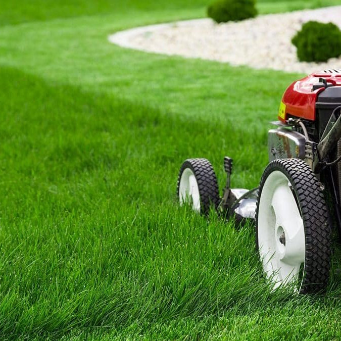 Get a Lush Lawn with Quality Turf Supplies on the North Shore