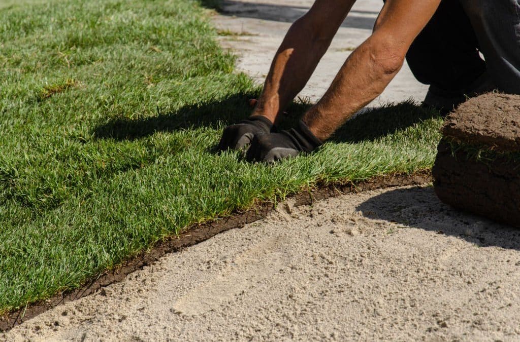 Choosing Quality Sand for Outdoor Landscaping Projects