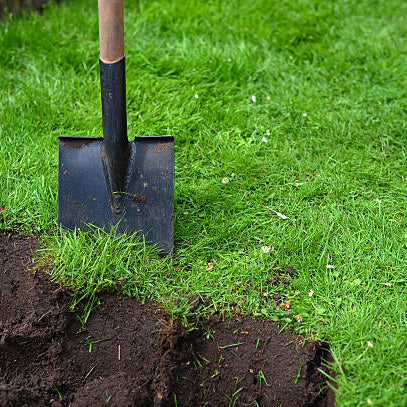 Seasonal lawn preparation