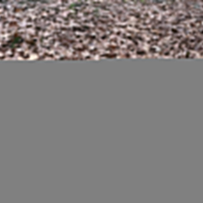 Soft Fall Mulch: Safe, Sustainable and Smart Landscaping for Australian Homes and Playgrounds