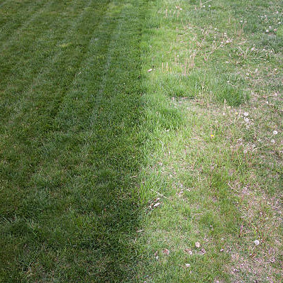 From Barren to Beautiful: Transform Your Yard with Premium Sydney Soil Supplies