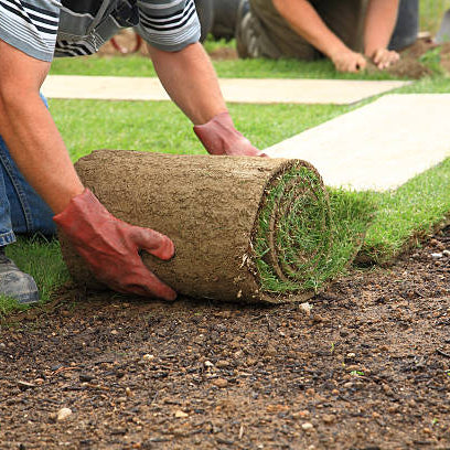 A Touch of Green: Ace Landscapes, Your Go-To for Premium Turf Supplies in Sydney