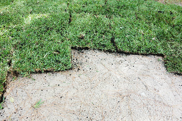 Lawn Underlay for Stronger Turf | Ace Landscapes