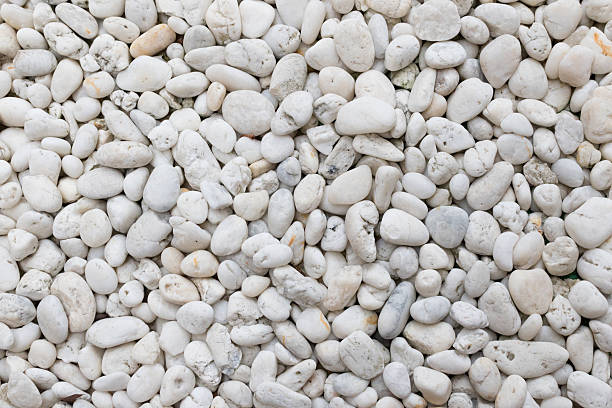 White Pebbles: The Stylish Touch Your Sydney Landscape Needs