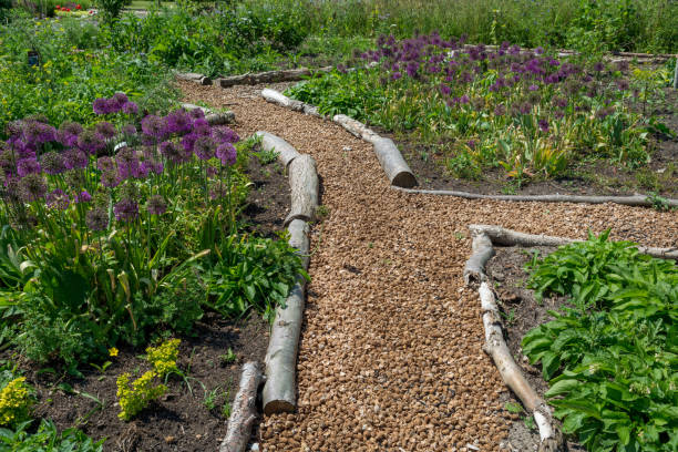 Ace Landscapes & Turf Supplies: Your Garden’s Best Friend