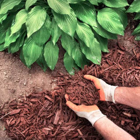 Beyond Basics: Unveiling Innovative Mulch Uses with Ace Landscape & Turf Supplies