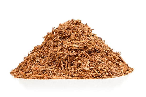 Discover the Finest Turf Supplies in Sydney for Your Dream Lawn