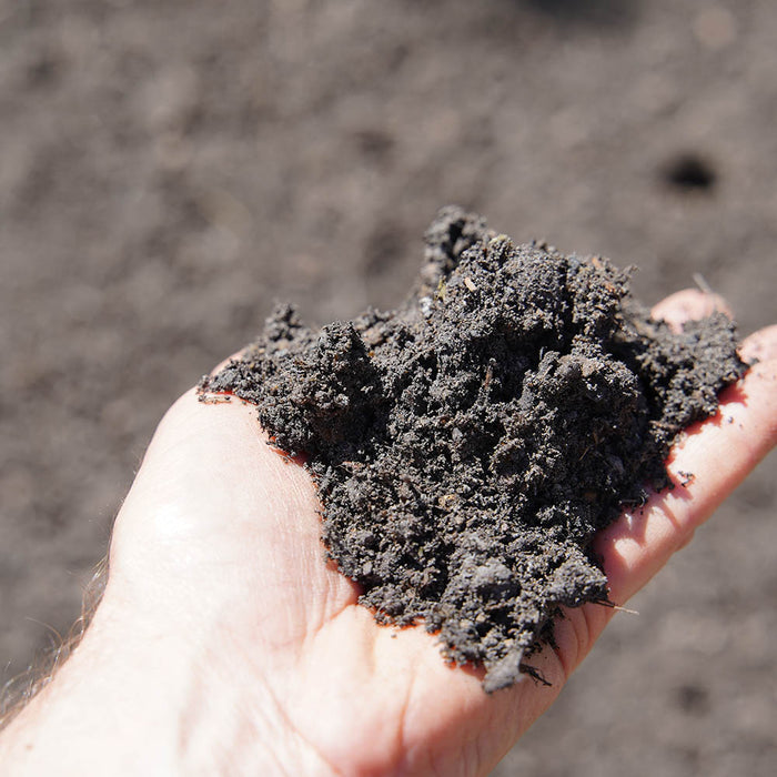 PREMIUM POTTING MIX CUBE [Sz:1]