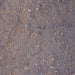 CRUSHER DUST TONNE