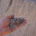 CRUSHER DUST TONNE
