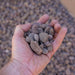 NEPEAN RIVER PEBBLES 20MM TONNE