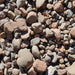 LUCKY STONES (NEPEAN RIVER) TONNE