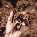PINE BARK 20/ 25MM CUBE $99.00