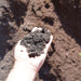 COMPOSTED PINE BARK 10MM CUBE