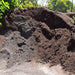 COMPOSTED PINE BARK 10MM CUBE