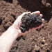 COMPOSTED PINE BARK 10MM CUBE