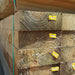 SLEEPERS 3.0X 200X 75