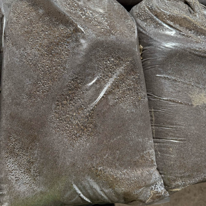 RIVER SAND BAG 20Kg