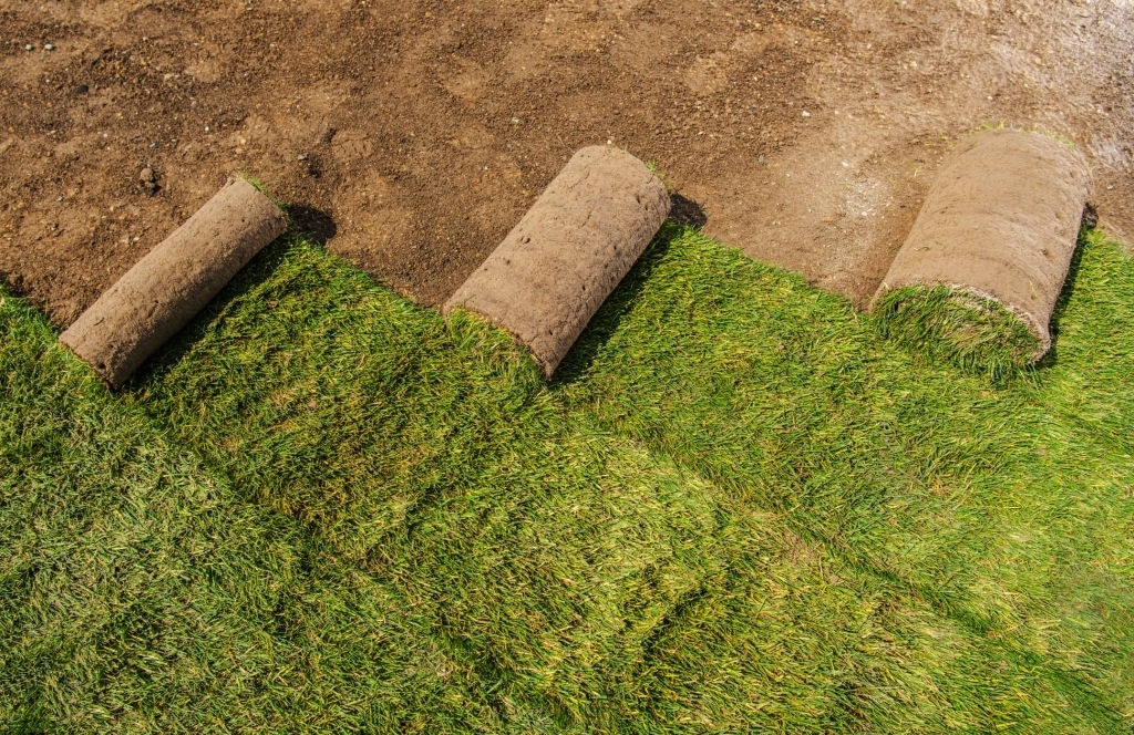 Which Turf Supplier offers the Best Value in Sydney