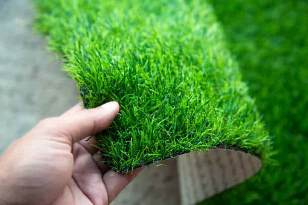 A Beginner’s Guide to Choosing the Right Turf, Soil, and Landscape Supplies