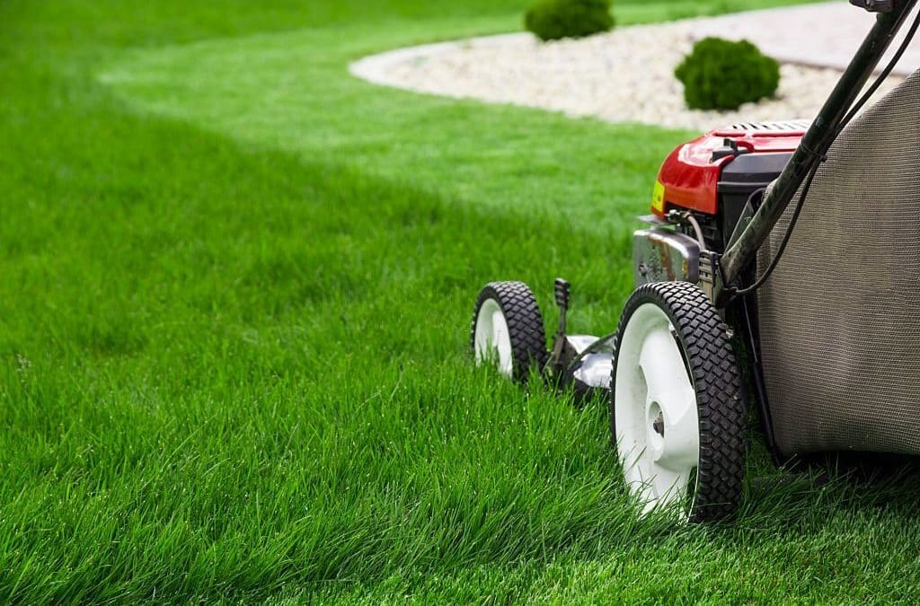 Get a Lush Lawn with Quality Turf Supplies on the North Shore