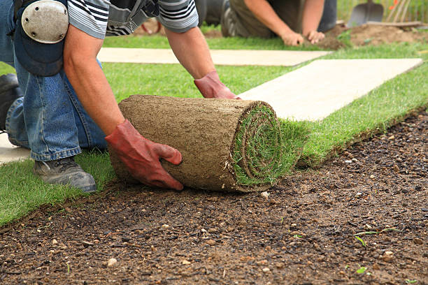 Ace Landscape & Turf Supplies: Your One-Stop Shop for All Your Landscaping Needs