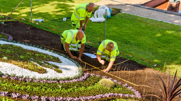 Transforming Your Landscape with Ace Landscape Turf Supplies